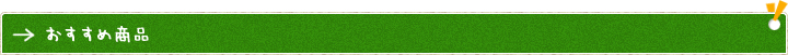 おすすめ商品