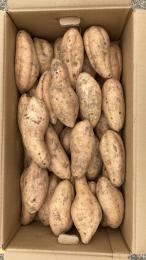 マロンゴールド(栗小金) 3kg